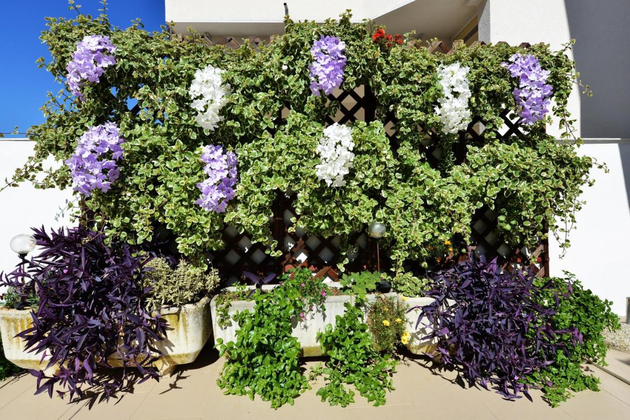 Apartment Lavender Vir Exteriér fotografie