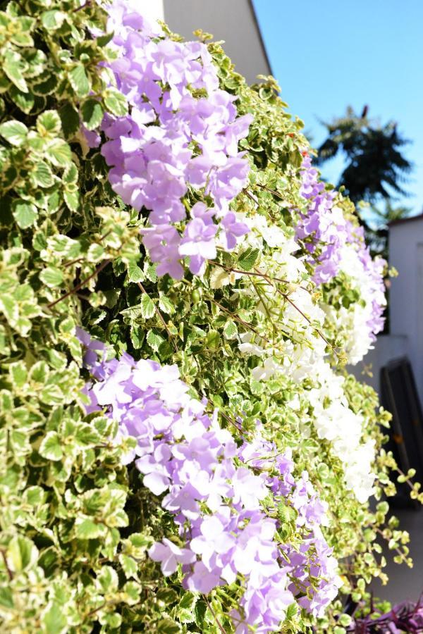 Apartment Lavender Vir Exteriér fotografie